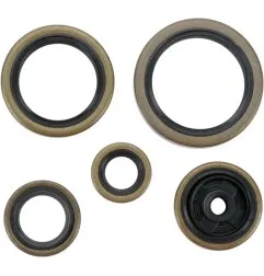 MOOSE Engine Oil Seals for HUSABERG, HUSQVARNA, KTM TE 250, TE 300, TC 250, TE 300 (2000–2018) — Part No. 822269MSE