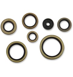 Retenes de aceite del motor MOOSE para GAS GAS, HUSQVARNA, KTM XC 300, TC 250, TE 250, TE 300, SX 250 de 1998 a 2023 - Ref. 8229