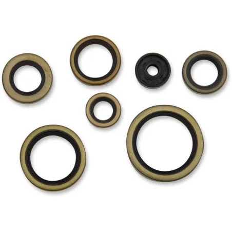 MOOSE -Motoröldichtungen für GAS GAS, HUSQVARNA, KTM XC 300, TC 250, TE 250, TE 300, SX 250 von 1998 bis 2023