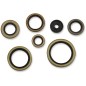 Engine oil seals MOOSE for GAS GAS, HUSQVARNA, KTM XC 300, TC 250, TE 250, TE 300, SX 250 from 1998 to 2023 Engine oil seals MOOSE for GAS GAS, HUSQVARNA, KTM XC 300, TC 250, TE 250, TE 300, SX 250 from 1998 to 2023