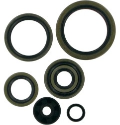 Engine oil seals MOOSE for KTM EXC 250, MXC 250, SX 250 from 1994 to 2003 - Ref. 822190MSE