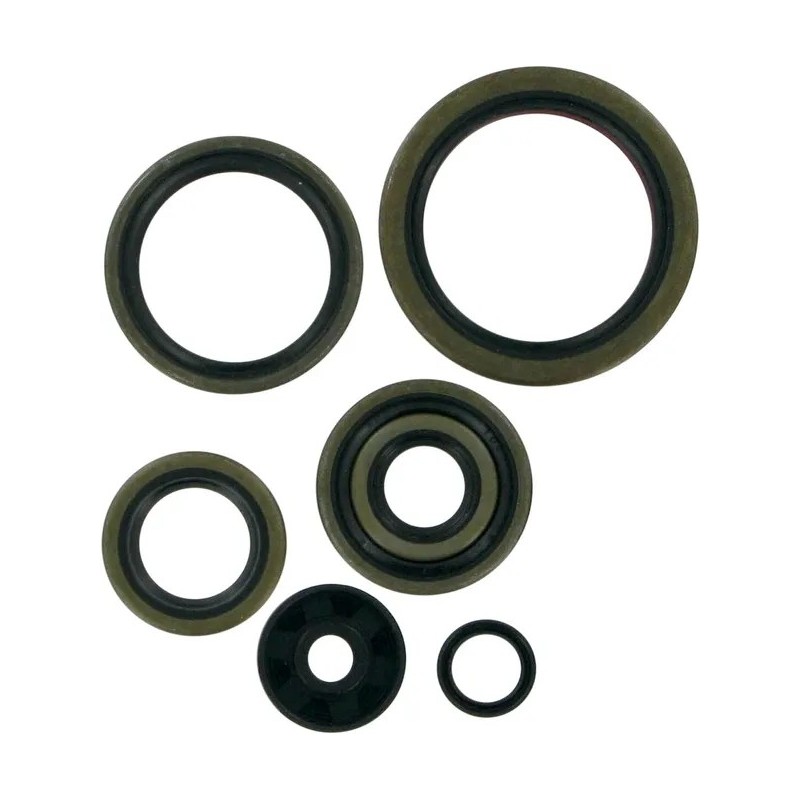 MOOSE -Motoröldichtungen für KTM EXC 250, MXC 250, SX 250 von 1994 bis 2003