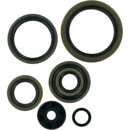 Retenes de aceite del motor MOOSE para KTM EXC 250, MXC 250, SX 250 de 1994 a 2003