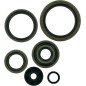 Retenes de aceite del motor MOOSE para KTM EXC 250, MXC 250, SX 250 de 1994 a 2003 Retenes de aceite del motor MOOSE para KTM EXC 250, MXC 250, SX 250 de 1994 a 2003