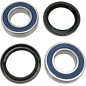 Kit de Roulements de Roue MOOSE pour BETA EVO 125, RR 125, RR 200 de 2011 à 2024