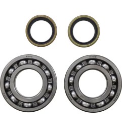 Kit roulements et joints de vilebrequin MOOSE pour BETA EVO 125, EVO 200, EVO 250 de 2013 à 2024- Réf. 24-1122