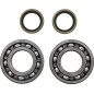 Kit roulements et joints de vilebrequin MOOSE pour BETA EVO 125, EVO 200, EVO 250 de 2013 à 2024
