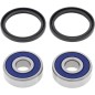 ALL BALLS Wheel Bearing Kit for HONDA, HUSQVARNA, KAWASAKI CX 500, TC 510, and KDX 250 (1968–1995)