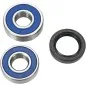ALL BALLS Wheel Bearing Kit for HONDA CR 250, MT 250, and XL 350 (1972–1982)