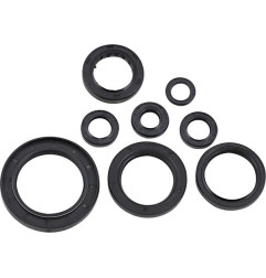 Kit de joints spi MOOSE pour HONDA CRF 250 de 2018 à 2024
