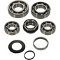 Kit de roulements de transmission HOT RODS pour HONDA CRF 450 de 2019 à 2024 Kit de roulements de transmission HOT RODS pour HONDA CRF 450 de 2019 à 2024