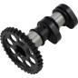 Árbol de levas de admisión Stage 1 « HOT CAMS » para GAS GAS, HUSQVARNA y KTM MC 250 de 2015 a 2022