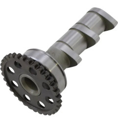 HOT CAMS Stage 1 Intake Camshaft for GAS GAS, HUSQVARNA, and KTM MC 250 (2015–2022)
