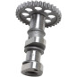HOT CAMS Stage 2 Intake Camshaft for GAS GAS, HUSQVARNA, and KTM MC 250 (2015–2022)