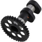 Árbol de levas de escape Stage 1 y 2 « HOT CAMS » para GAS GAS, HUSQVARNA y KTM MC 250 de 2015 a 2022 Árbol de levas de escape Stage 1 y 2 « HOT CAMS » para GAS GAS, HUSQVARNA y KTM MC 250 de 2015 a 2022