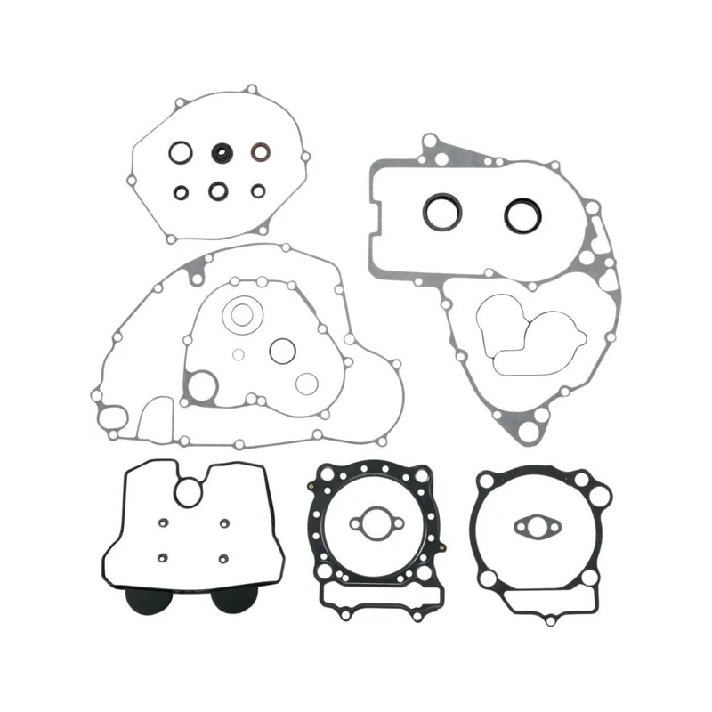 Complete Set of Seals and Oil Seals for the MOOSE, for the 2005–2007 SUZUKI RM-Z 450