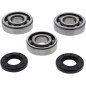 MOOSE Crankshaft Bearing and Seal Kit for YAMAHA YZ 65 and YZ 85 (2018–2025)
