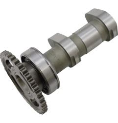 Arbre à cames Stage 2 admission HOT CAMS pour KAWASAKI KX 250 F, KX 450 F de 2006 à 2018