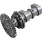 Arbre à cames Stage 2 échappement HOT CAMS pour SUZUKI, KAWASAKI et ARCTIC CAT (TEXTRON) de 2000 à 2017