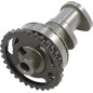 HOT CAMS Nockenwelle Stage 1 Auslass für KAWASAKI KX 250 F und SUZUKI RM-Z 250 von 2004 bis 2010 HOT CAMS Nockenwelle Stage 1 Auslass für KAWASAKI KX 250 F und SUZUKI RM-Z 250 von 2004 bis 2010