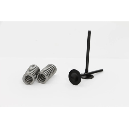 WOSSNER exhaust valve kit