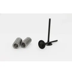 Kit soupapes d'admission WOSSNER pour KTM EXC-F 250, SX-F 250 de 2006 à 2012