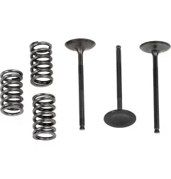 Kit de muelles de válvula admisión PROX para YAMAHA WR 450 F, YFZ 450 R, YFZ 450 RSE, YZ 450 F y GAS GAS EC 450 F de 2003 a 2027