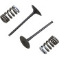 Kit de muelles de válvula admisión PROX para SUZUKI RM-Z 250, RM-Z 250 E de 2006 a 2026