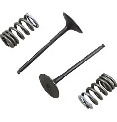 PROX valve spring kit intake for SUZUKI RM-Z 250, RM-Z 250 E from 2006 to 2026