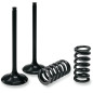 Kit de muelles de válvula admisión PROX para SUZUKI RM-Z 450 de 2005 a 2006 Kit de muelles de válvula admisión PROX para SUZUKI RM-Z 450 de 2005 a 2006