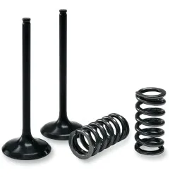 PROX valve spring kit exhaust for KTM EXC-F 250, SX-F 250 from 2006 to 2007