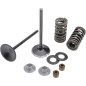 KIBBLEWHITE valve spring kit intake for HONDA CRF 250 R, CRF 250 X from 2004 to 2017 KIBBLEWHITE valve spring kit intake for HONDA CRF 250 R, CRF 250 X from 2004 to 2017