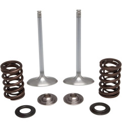 Kit de muelles de válvula admisión KIBBLEWHITE para HONDA CRF 450 R, CRF 450 RWE, CRF 450 RX de 2017 a 2022