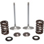 Kit de muelles de válvula admisión KIBBLEWHITE para HONDA CRF 450 R, CRF 450 RWE, CRF 450 RX de 2017 a 2022