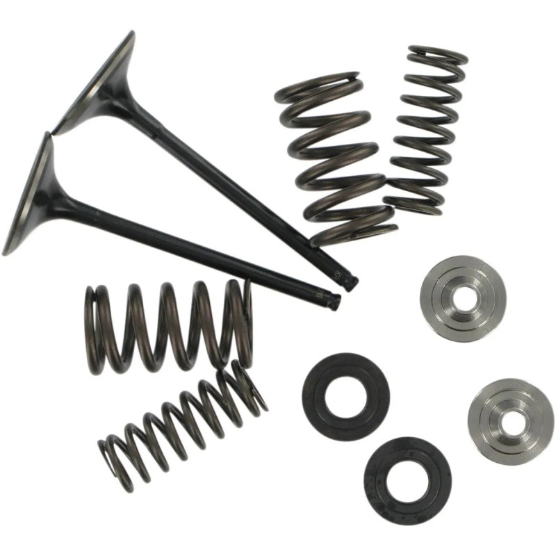 KIBBLEWHITE Ventilfedernkit Einlass für KAWASAKI KX 250 F von 2004 bis 2016 KIBBLEWHITE Ventilfedernkit Einlass für KAWASAKI KX 250 F von 2004 bis 2016
