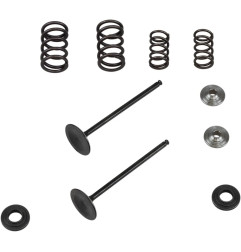 KIBBLEWHITE Ventilfedernkit Einlass für KTM EXC 250, EXC-F 250, SX 250, SX-F 250, XC 250, XC-F 250 von 2008 bis 2013