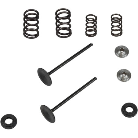 Kit de muelles de válvula admisión KIBBLEWHITE para KTM EXC 250, EXC-F 250, SX 250, SX-F 250, XC 250, XC-F 250 de 2008 a 2013