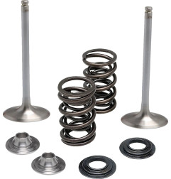 KIBBLEWHITE Ventilfedernkit Einlass für KAWASAKI KX 250, KX 250 F von 2020 bis 2021