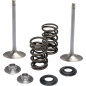 Kit ressorts de soupapes admission KIBBLEWHITE pour KAWASAKI KX 250, KX 250 F de 2020 à 2021