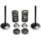 KIBBLEWHITE valve spring kit intake for YAMAHA YZ 250 FX, YZ 450 F, YZ 450 FX from 2014 to 2017