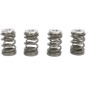 KIBBLEWHITE valve spring kit for KTM EXC 400, EXC 400 RACING, EXC 450, EXC 450 RACING, SMR 450, SMR 525 from 2000 to 2009 KIBBLEWHITE valve spring kit for KTM EXC 400, EXC 400 RACING, EXC 450, EXC 450 RACING, SMR 450, SMR 525 from 2000 to 2009