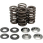 Kit ressorts de soupapes KIBBLEWHITE pour SUZUKI RM-Z 250 de 2007 à 2015