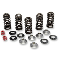 Kit de muelles de válvula KIBBLEWHITE para YAMAHA WR 250 F, WR 450 F, YZ 250 F, YZ 450 F de 2001 a 2013