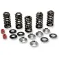 KIBBLEWHITE valve spring kit for YAMAHA WR 250 F, WR 450 F, YZ 250 F, YZ 450 F from 2001 to 2013