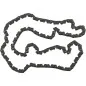 MOOSE RACING cam chain 120 links for HONDA TRX 700 XX from 2008 to 2009 MOOSE RACING cam chain 120 links for HONDA TRX 700 XX from 2008 to 2009