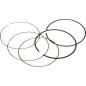 Juego de segmentos VERTEX Ø 77,00 mm para YAMAHA WR 250 F, YZ 250 F y FANTIC TF 250 ES de 2001 a 2014