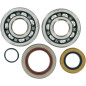MOOSE RACING crankshaft bearing and seal kit for KTM SX 65, XC 65, HUSQVARNA TC 65 and GAS GAS MC 65 from 2009 to 2025
