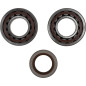 MOOSE RACING crankshaft bearing and seal kit for KTM EXC 250 RACING, EXC 450 RACING, EXC 525 RACING from 2000 to 2009