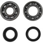 MOOSE RACING Kurbelwellenlager- und Simmerring-Kit für YAMAHA IT 125, IT 175, MX 125, YZ 100, YZ 125, YZ 175 von 1976 bis 1981 MOOSE RACING Kurbelwellenlager- und Simmerring-Kit für YAMAHA IT 125, IT 175, MX 125, YZ 100, YZ 125, YZ 175 von 1976 bis 1981