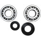 Kit roulements et joints spi de vilebrequin PROX pour YAMAHA YZ 250, YZ 250 X de 2001 à 2024 Kit roulements et joints spi de vilebrequin PROX pour YAMAHA YZ 250, YZ 250 X de 2001 à 2024